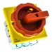 3 Pole Front Panel Mount Non-Fused Switch Disconnector, 63 A, 22 kW, IP65