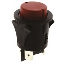 Push Button Switch, DP, Panel Mount, Momentary